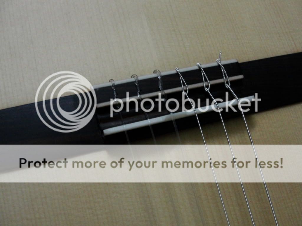 Vietnamese guitar experience (so far) Electric Guitars Harmony Central