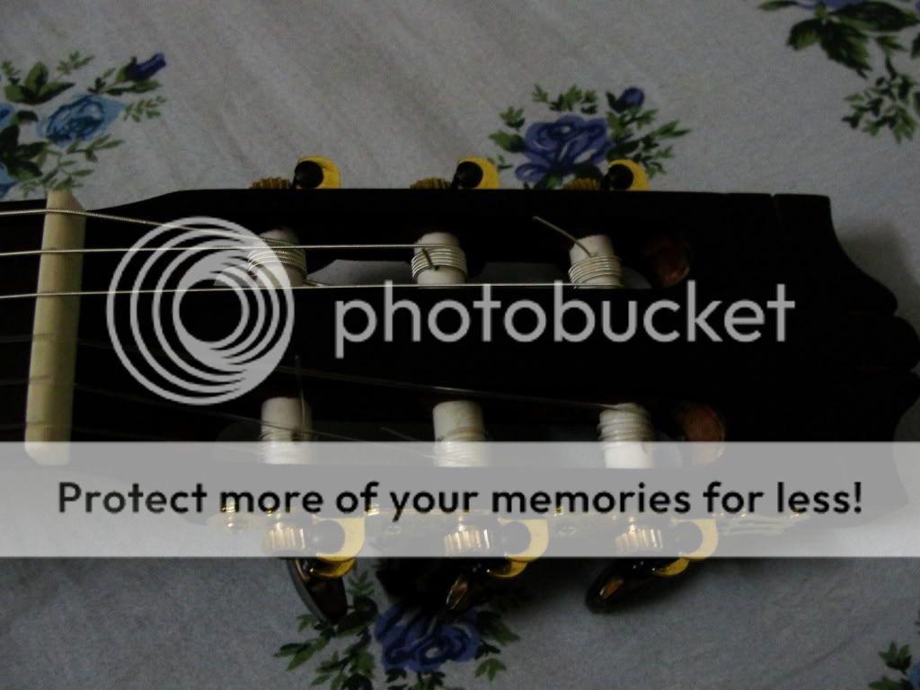 Vietnamese guitar experience (so far) Electric Guitars Harmony Central