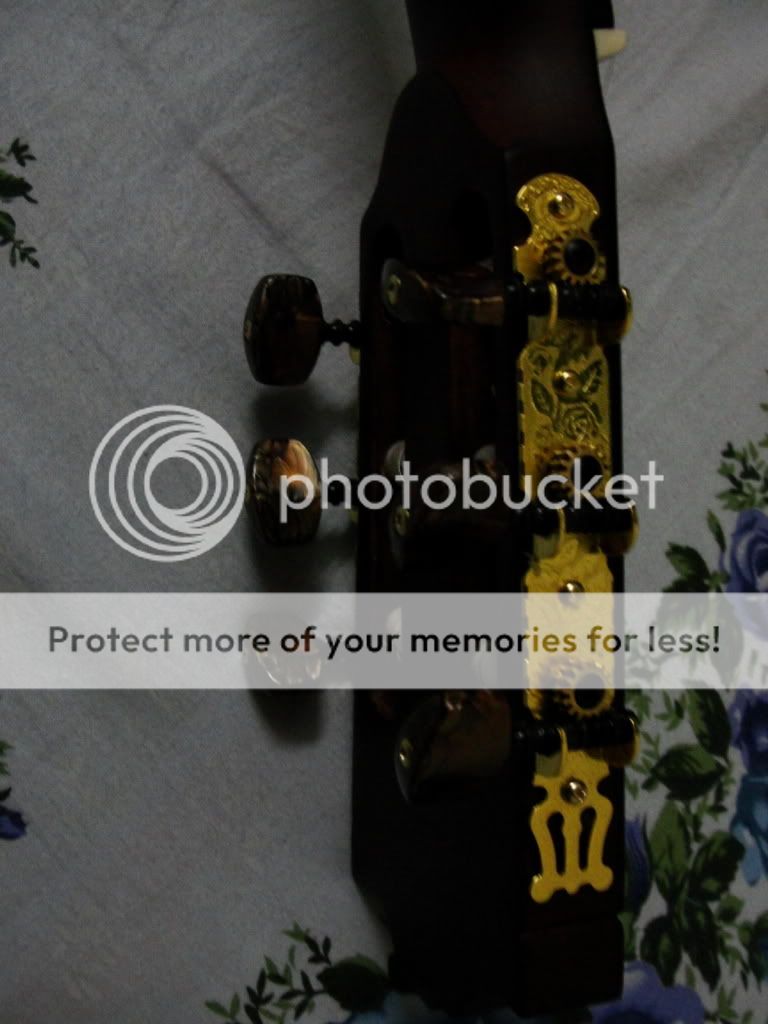 Vietnamese guitar experience (so far) Electric Guitars Harmony Central