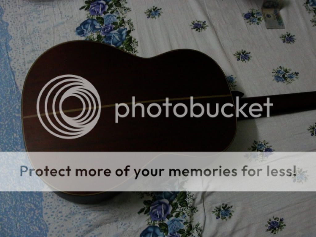 Vietnamese guitar experience (so far) Electric Guitars Harmony Central