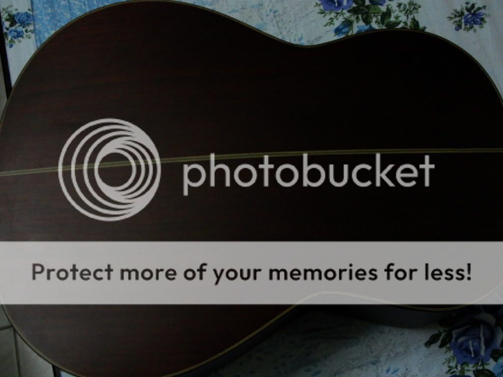 Vietnamese guitar experience (so far) Electric Guitars Harmony Central