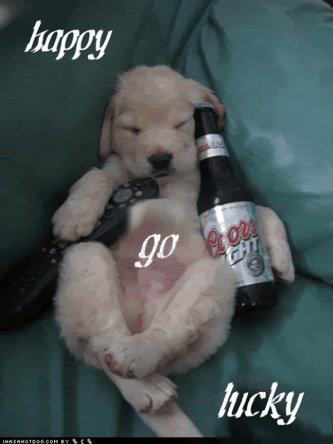 cute-puppy-pictures-beer-remote--1.gif