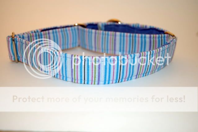 Stripe 019 - martingale detail