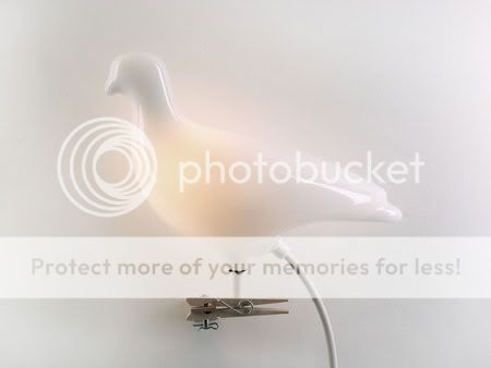 Pigeon Light by Ed Carpenter