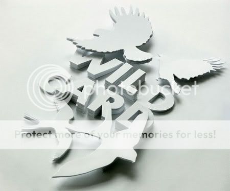 Arctic Paper by Shaz Madani