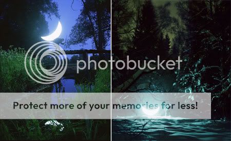 Private Moon by Leonid Tishkov