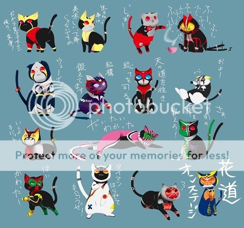 kamenridercats.jpg