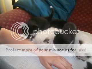 100_1164.jpg