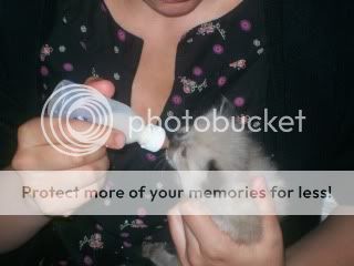 100_1172.jpg