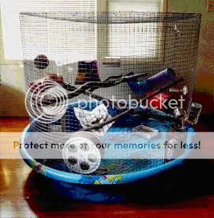 Re: Homemade cages  hardware cloth for rat cages Re: Homemade cages  hardware cloth for rat cages