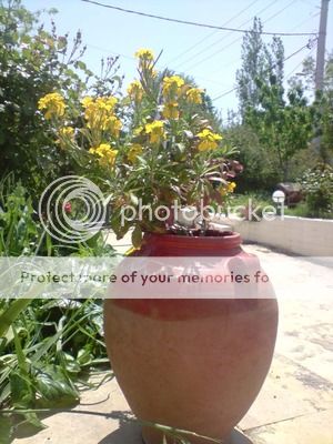 πρωτομαγιά2012