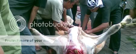 PemudaMatraman PemudaMatraman