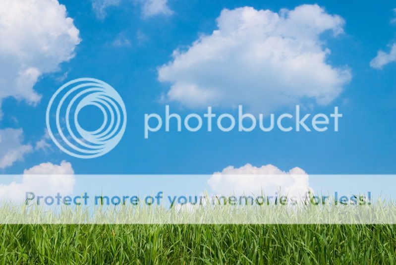 Fotografie