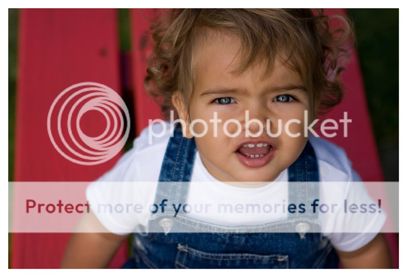 Fotografie
