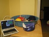 playtime003.jpg pcim image by lilredpixie_2000