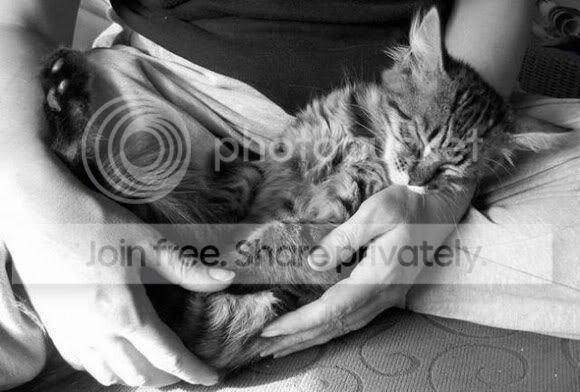 cute-sleep14.jpg