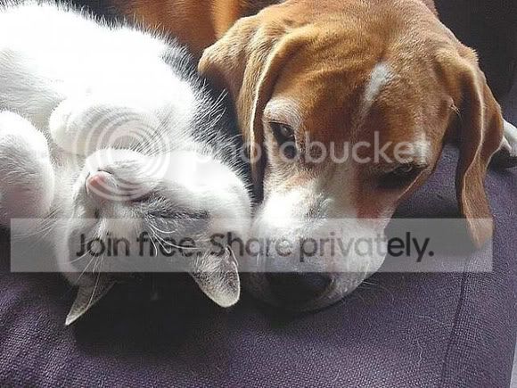 cute-sleep21.jpg