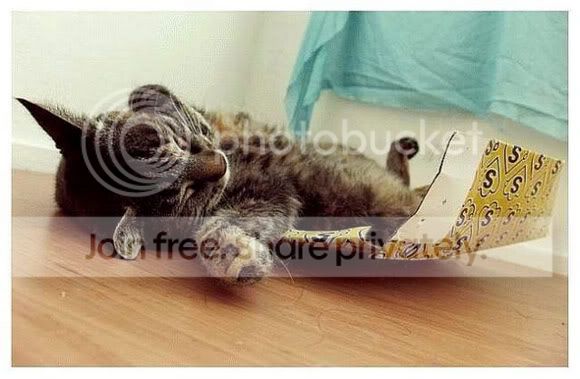 cute-sleep23.jpg