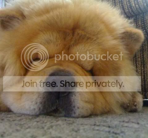 cute-sleep33.jpg