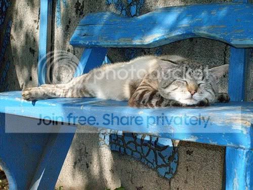 cute-sleep34.jpg