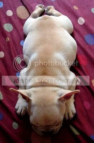cute-sleep8.jpg