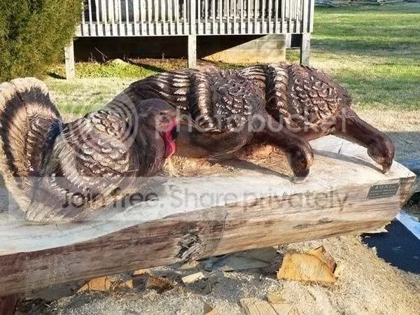 wood-work11.jpg
